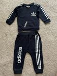 Adidas set 86 NY!
