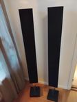 Bang & olufsen beolab 8000