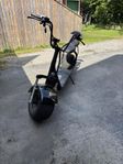 fatbike 
