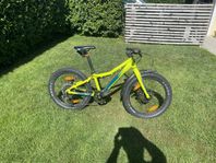 BMX Gusta freestyle 20”