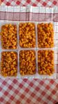 hjortron nyplockad 200kr per kg