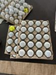 100! PRO v1 A-B Klass
