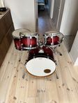 Tama Siverstar
