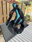 Hundsele, halsband, reflexväst, väska och koppel storlek M