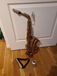 Alt Saxofon Dolnet +2väskor,notställ, sordin.