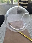 Glaskula