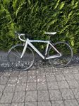 Bianchi - damracer