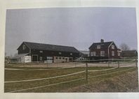 Hästgård med utsikt över Siljan
