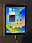 iPad 10.2" (2021) 256 GB 4G LTE 