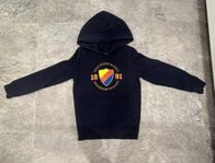 Djurgården-hoodie