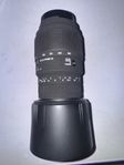 SIGMA DG 70-300 NIKON FX