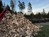 Björkved kamin 30 cm