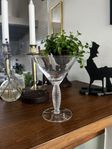Kosta Boda martini/champagneglas