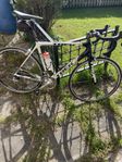 Trek Madone OCLV Carbon 6 series