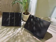 Bang & Olufsen Beovox 