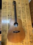 Tanglewood TW28 CSN Evolution Dreadnought Gitarr