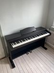 Slumpas, Casio AP-10