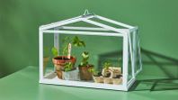 Ikea miniväxthus