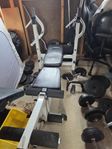 Gorilla sports träningsbänk multi
