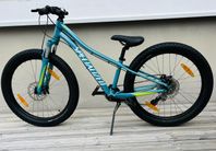 Specialized RipRock 24 tum