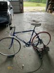 Bianchi med cyckeltrainer