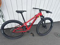 mountainbike
