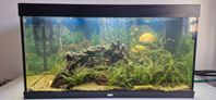 Juwel Rio 350L, inklusive Allt 