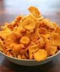 kantareller 