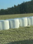 Hösilage 