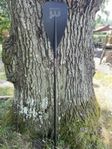 Mistral SUP paddel komposit