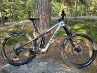 2023 Canyon Strive CFR Underdog strl M