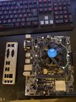 moderkort med processor och kylare