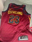 Cleveland Lebron James Swingman Edition