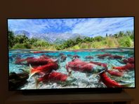 4k OLED 55inch LG TV 