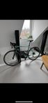 bianchi infinito cv ultegra 55cm