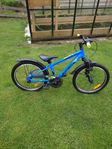Marvil dirt 20"
