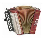Hohner Erica AD