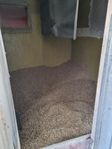 Pellets