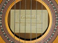 Akustisk gitarr Lugnås