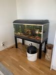 akvarium
