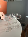 Fyra champagneglas från Iittala