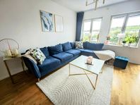Mio County divan sammet soffa