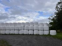 Hösilage 2025 1a skörd