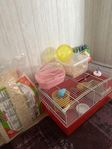 Hamsterbur med tillbehör till salu