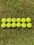 Titleist golfbollar 12 st