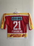 Peter Forsberg #21 MODO Hockey Retro 94 Matchtröja, Signera