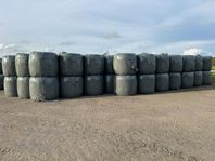 Hösilage