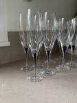 Orrefors Intermezzo champagne och vinglas