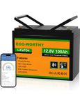 lifep04 lithium batteri 100ah