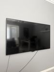 tv 65 tum